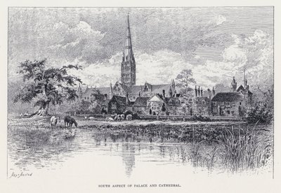 Sydlige aspekt af palads og katedral (gravering) af William Alexander Ansted