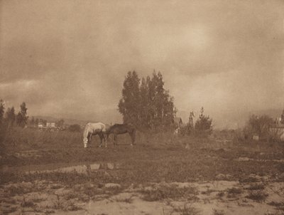 Pasadena Landskab af William B. Post
