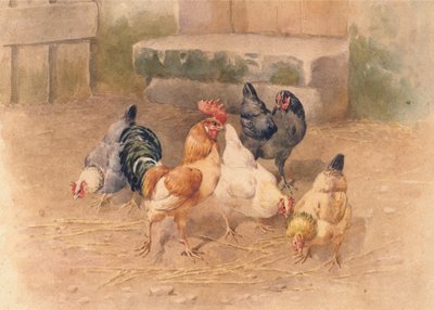 Kyllinger (akvarel med kropsfarve på papir) af William Baptiste Baird