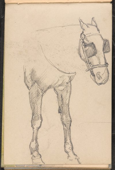 Skitse af hest med blink, 1879 ca af William Barnes Wollen