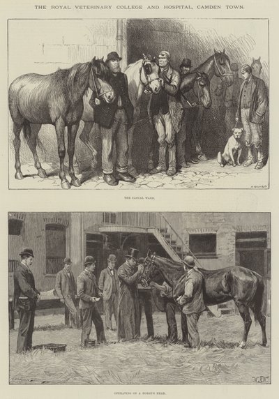 Royal Veterinary College og Hospital, Camden Town af William Barnes Wollen