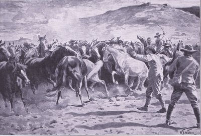 Fangsten af hestene i Brandwater-distriktet nær Fouriesburg: afrunding af flokken, illustration fra After Pretoria: The Guerilla War, 1902 af William Barnes Wollen