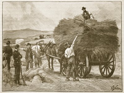 Redningen af kaptajn Boykots afgrøder, illustration fra 