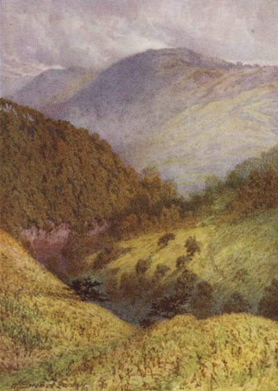 Ser ned ad Chee Dale, High Tor i det fjerne af William Biscombe Gardner