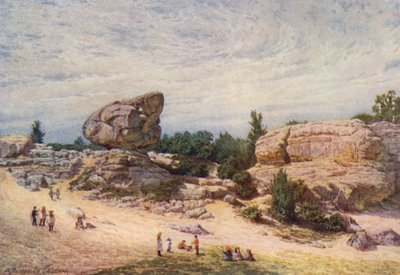 The Toad Rock, Rusthall Common, Tunbridge Wells (farvelitografi) af William Biscombe Gardner