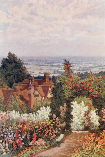 The Weald fra Doctor