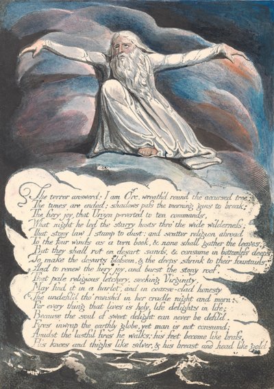 Amerika. En profeti, plade 10, terroren besvarede .... af William Blake