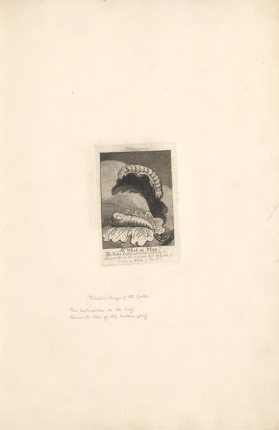 For kønnene- Paradisets porte, plade 1, titelside af William Blake