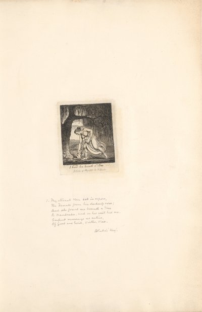 For kønnene- Paradisets porte, plade 3, fandt jeg ham under et træ af William Blake