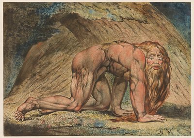Nebuchadnezzar, 1795 (tempera, pen og blæk og wc på papir) af William Blake