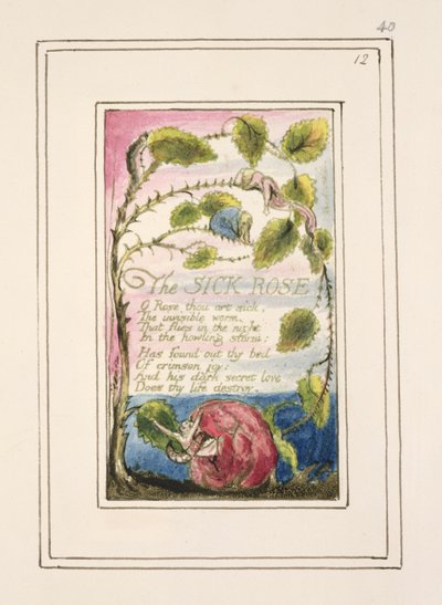S.124-1950.pt40 Den syge rose: plade 40 fra 