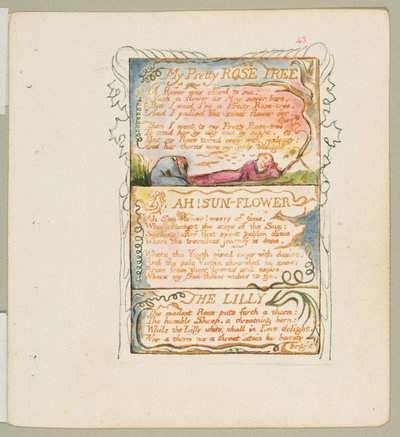 Sange om uskyld og om erfaring: Mit smukke rosentræ, Ah! Solblomst, Liljen, ca. 1825. af William Blake