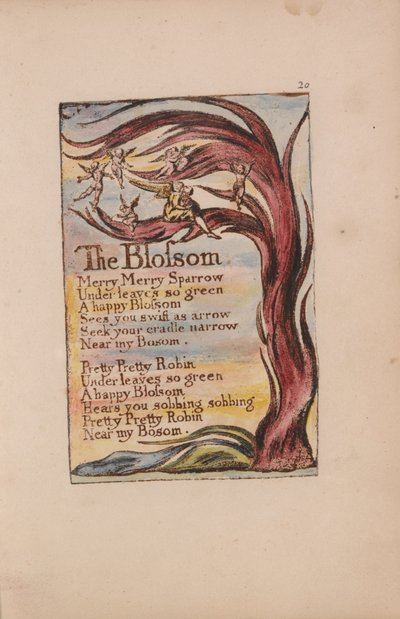 Songs of Innocence and of Experience, Plate 20, The Blossom (Bentley 11) af William Blake