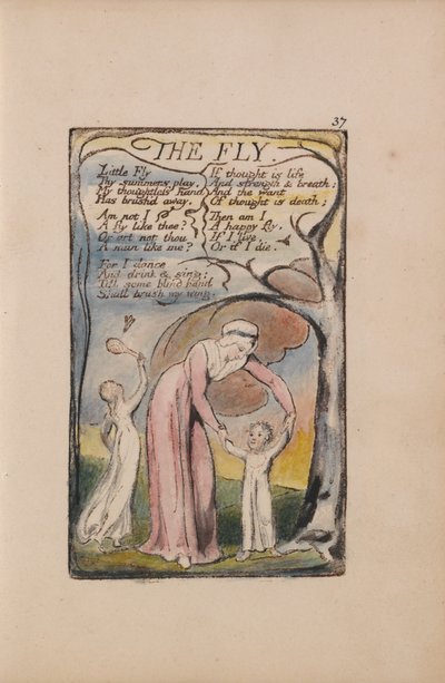 Sange om uskyld og erfaring, plade 37, flue (Bentley 40) af William Blake