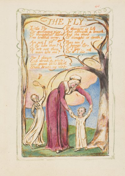 Sange om uskyld og erfaring: Fluen, ca. 1825. af William Blake
