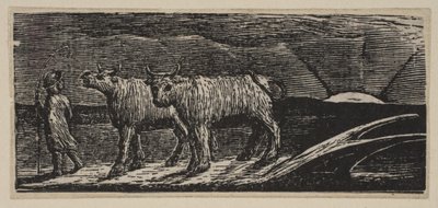 Unyokd Kvier, Loitering Homeward, fra Thorntons Pastorals of Virgil, 1821. af William Blake