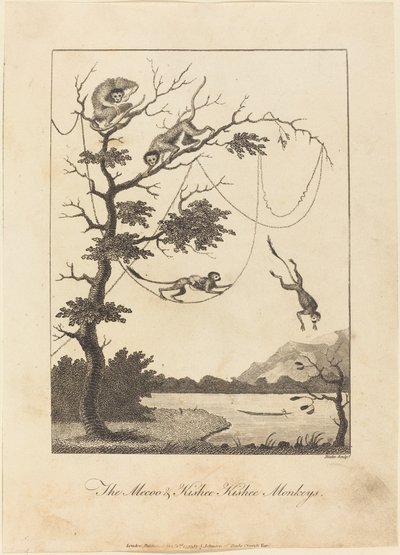 Mecoo & Kisbee Kishee Aberne af William Blake after John Gabriel Stedman
