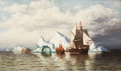 Blandt isbjergene, Kysten i Labrador, af William Bradford