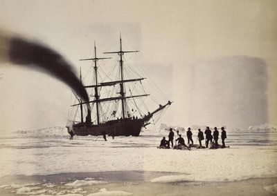 Jagt med damp i Melville Bay af William Bradford