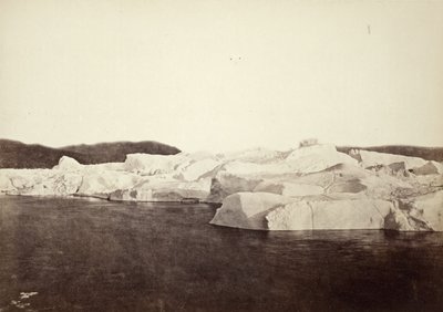  af William Bradford
