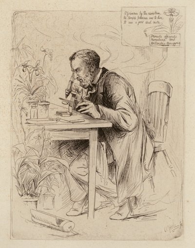Alexander Dickson, professor i botanik (kobberstik) af William Brassey (after) Hole