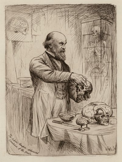William Turner, professor i anatomi (kobberstik) af William Brassey (after) Hole