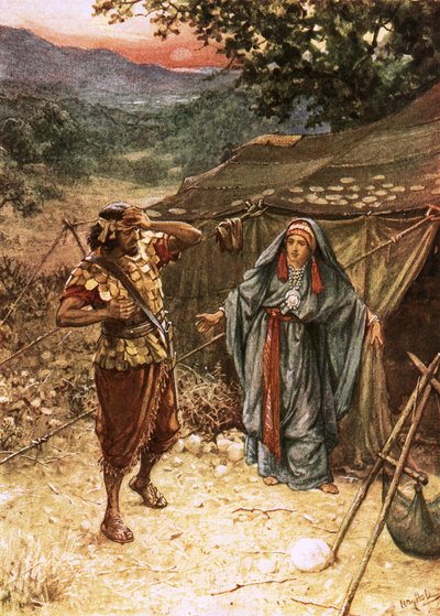 Fængsel og søs af William Brassey Hole