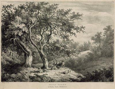 Tornetræer i Bushy Park, Middlesex af William Burges