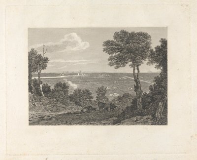 Fjernsyn over Chester af William Byrne
