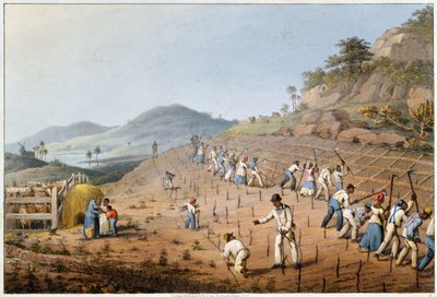 Opdeling af landet, fra 