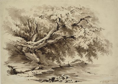 Landskab med træer, der hænger ud over en sø af William Collingwood Smith