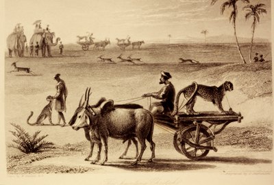 Jagtgeparderne af William Daniell