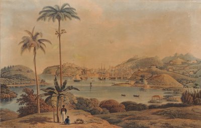 Udsigt over byen St. George og Richmond Heights på øen Grenada, taget fra bugten af oberstløjtnant Wilson, 1819 af William Daniell