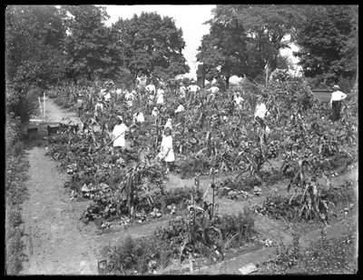 Børn, der arbejder i Isham Park skolehave, New York City, 16. august 1915 af William Davis Hassler