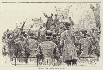 Hyde Park Meeting, søndag den 20. november af William Douglas Almond
