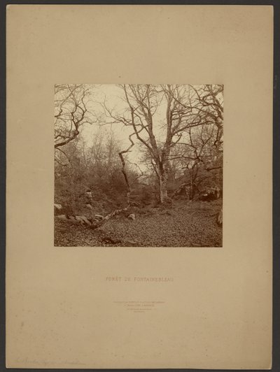 Fontainebleau-skoven af William Drooke Harrison