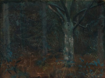 Gamle Sycamore af William Edward Stott
