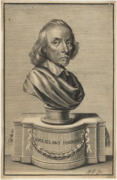 William Harvey, M.D. af William Faithorne