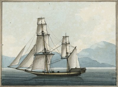 Bombay-grebet af William Ffarington