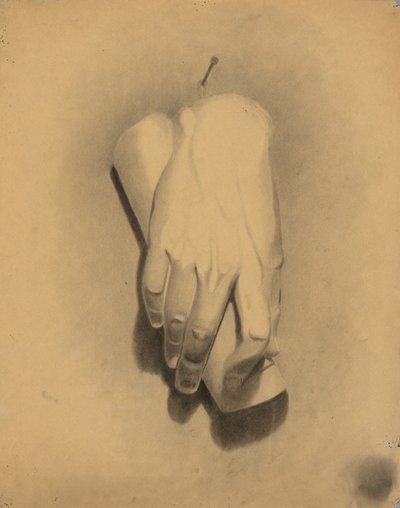 Akademisk undersøgelse af William Fowler Hopson
