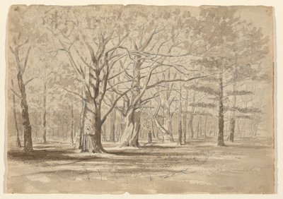 College Woods af William Fowler Hopson