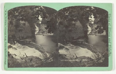 Forest Falls fra oven, Ithaca Gorge, slutningen af det 19. århundrede. af William Frear