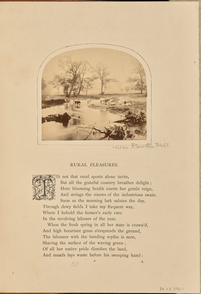 [Pastoral scene med kvæg på en oversvømmet mark, England]. af William Grundy