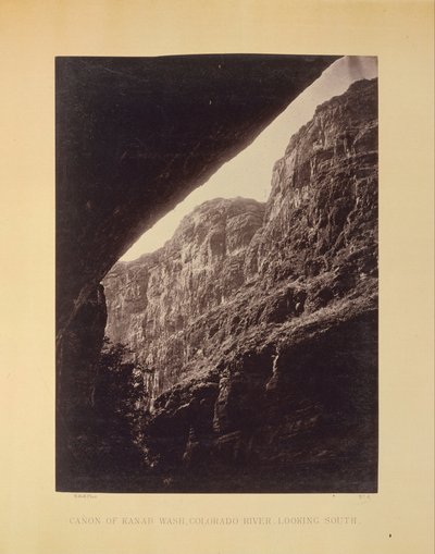 Cañon of Kanab Wash, Colorado River, Ser syd af William H. Bell