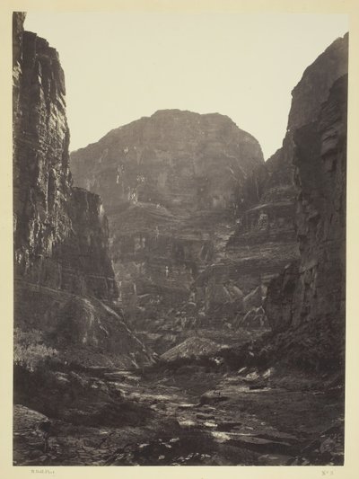 Cañon of Kanab Wash, Colorado River, Looking South, 1872. af William H. Bell