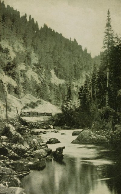 Cañons i Colorado af William H. Jackson