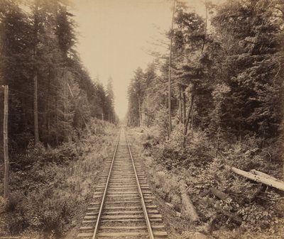 Hemlock Skov af William H. Rau