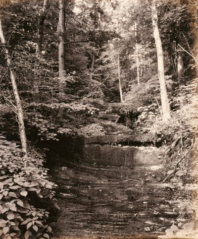 Owasco Lake, Cascade Glen, for Lehigh Valley Railroad af William H. Rau