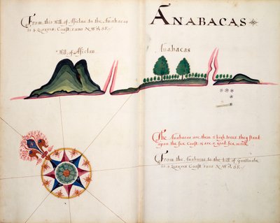 Anabacas af William Hack