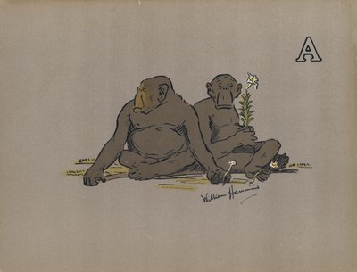 Bogstav A, Æstetiske antropoide aber, der indtager unormalt apatiske holdninger (farve litho) af William Hammond